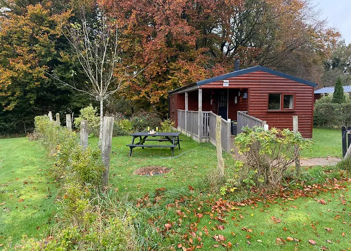 Cherry Tree Glamping