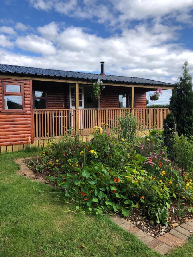 Cherry Tree Glamping *