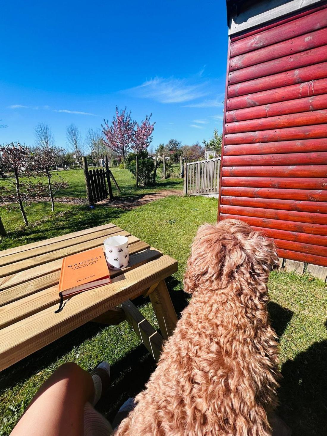 Cherry Tree Glamping