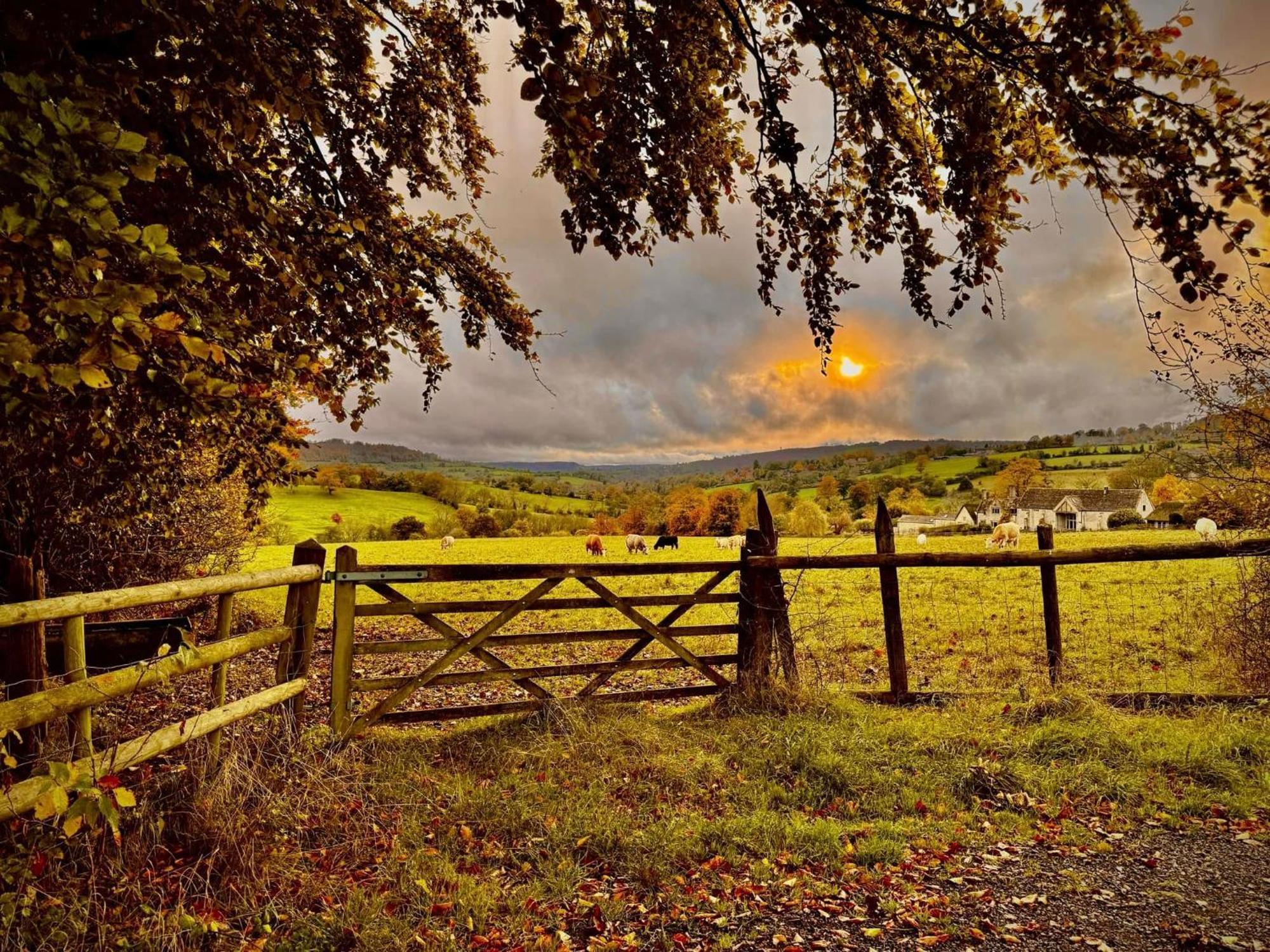 Cherry Tree Glamping Lodge *