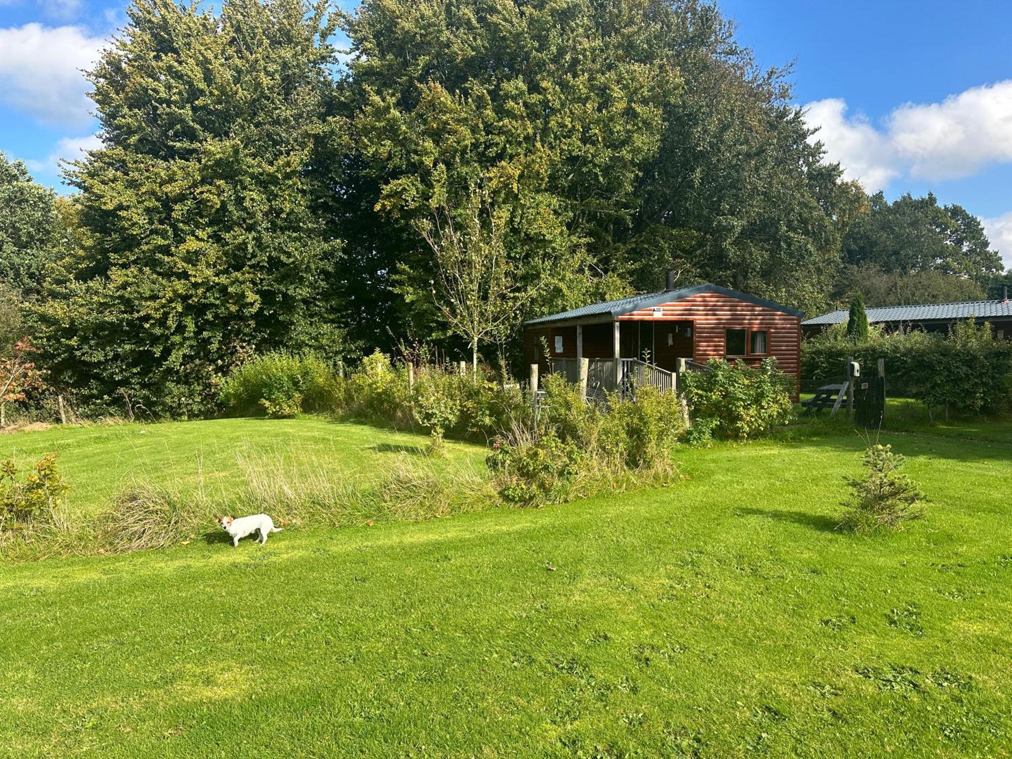 Cherry Tree Glamping * Stroud (Gloucestershire)