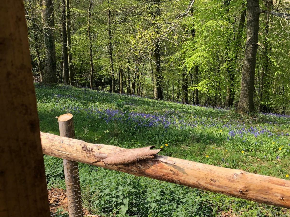Cherry Tree Glamping Stroud (Gloucestershire)